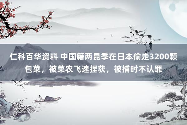 仁科百华资料 中国籍两昆季在日本偷走3200颗包菜，被菜农飞速捏获，被捕时不认罪