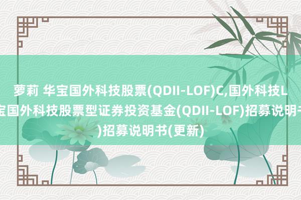 萝莉 华宝国外科技股票(QDII-LOF)C,国外科技LOF: 华宝国外科技股票型证券投资基金(QDII-LOF)招募说明书(更新)