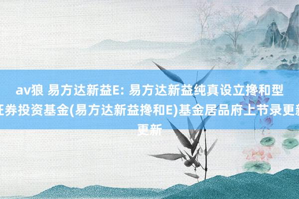av狼 易方达新益E: 易方达新益纯真设立搀和型证券投资基金(易方达新益搀和E)基金居品府上节录更新