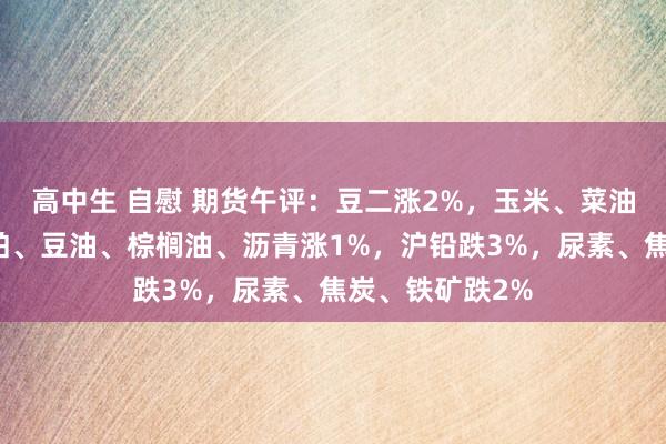 高中生 自慰 期货午评：豆二涨2%，玉米、菜油、氧化铝、豆粕、豆油、棕榈油、沥青涨1%，沪铅跌3%，尿素、焦炭、铁矿跌2%