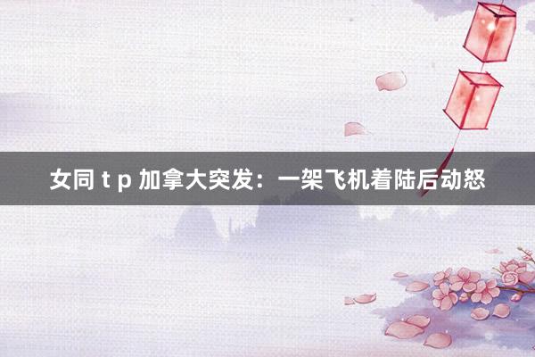 女同 t p 加拿大突发：一架飞机着陆后动怒