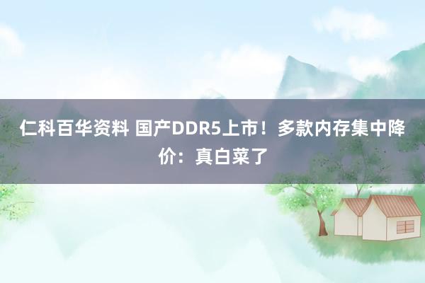 仁科百华资料 国产DDR5上市！多款内存集中降价：真白菜了