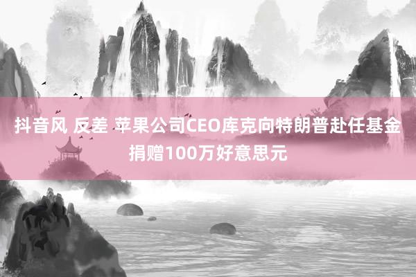 抖音风 反差 苹果公司CEO库克向特朗普赴任基金捐赠100万好意思元