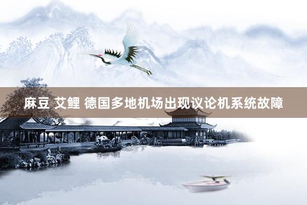 麻豆 艾鲤 德国多地机场出现议论机系统故障