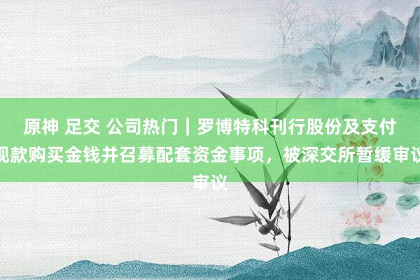 原神 足交 公司热门｜罗博特科刊行股份及支付现款购买金钱并召募配套资金事项，被深交所暂缓审议