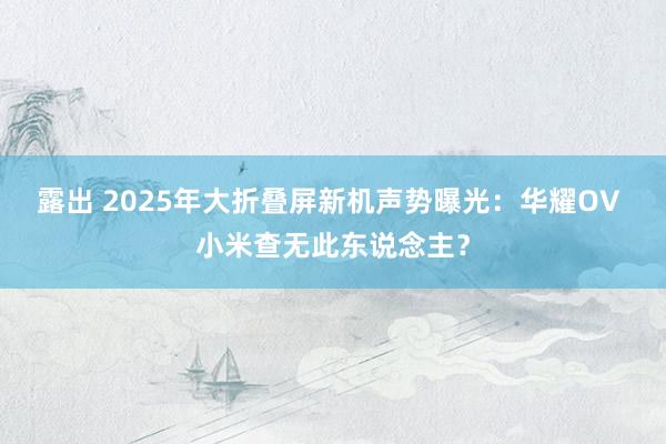 露出 2025年大折叠屏新机声势曝光：华耀OV 小米查无此东说念主？