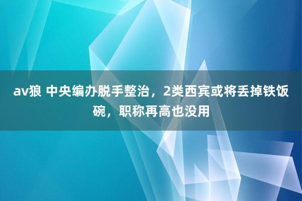 av狼 中央编办脱手整治，2类西宾或将丢掉铁饭碗，职称再高也没用