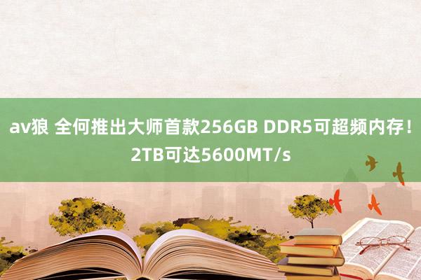 av狼 全何推出大师首款256GB DDR5可超频内存！2TB可达5600MT/s