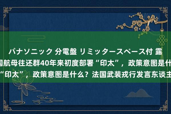 パナソニック 分電盤 リミッタースペース付 露出・半埋込両用形  法国航母往还群40年来初度部署“印太”，政策意图是什么？法国武装戎行发言东谈主复兴