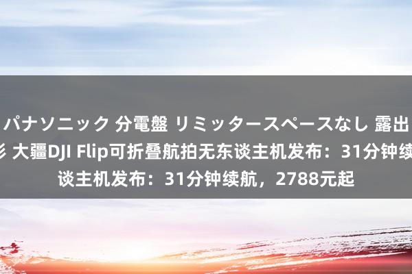パナソニック 分電盤 リミッタースペースなし 露出・半埋込両用形 大疆DJI Flip可折叠航拍无东谈主机发布：31分钟续航，2788元起