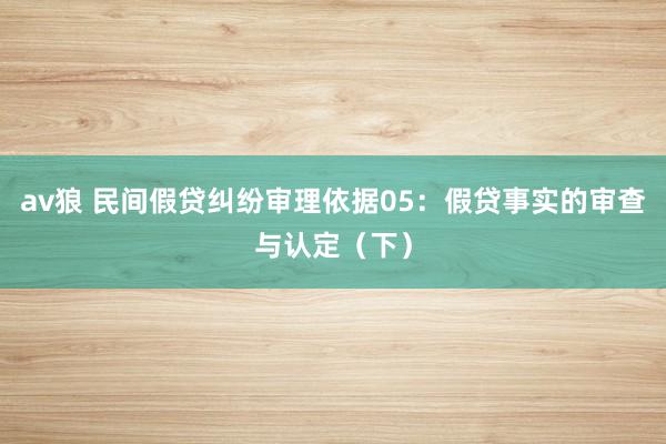 av狼 民间假贷纠纷审理依据05：假贷事实的审查与认定（下）