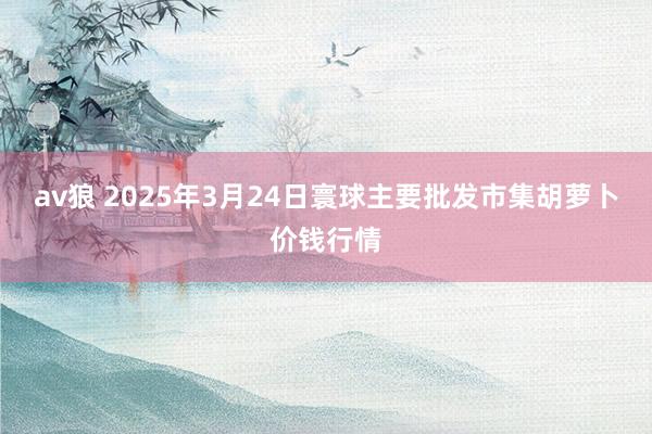 av狼 2025年3月24日寰球主要批发市集胡萝卜价钱行情