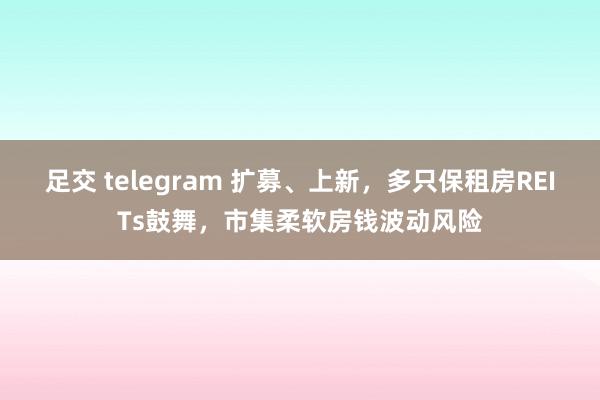 足交 telegram 扩募、上新，多只保租房REITs鼓舞，市集柔软房钱波动风险