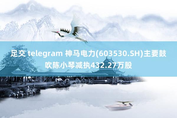 足交 telegram 神马电力(603530.SH)主要鼓吹陈小琴减执432.27万股