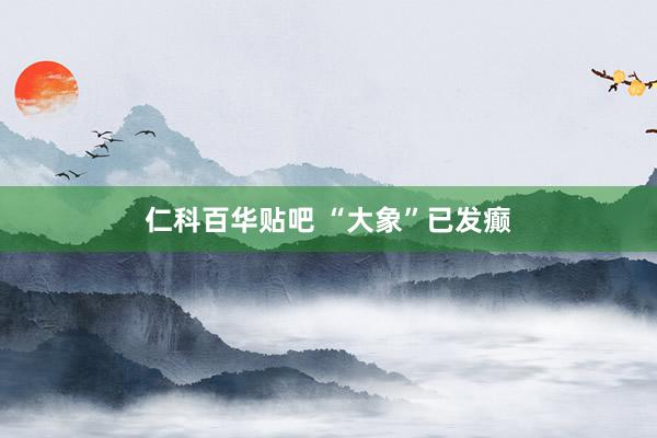 仁科百华贴吧 “大象”已发癫