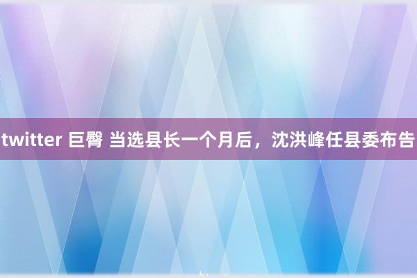 twitter 巨臀 当选县长一个月后，沈洪峰任县委布告