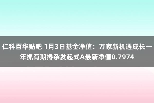 仁科百华贴吧 1月3日基金净值：万家新机遇成长一年抓有期搀杂发起式A最新净值0.7974