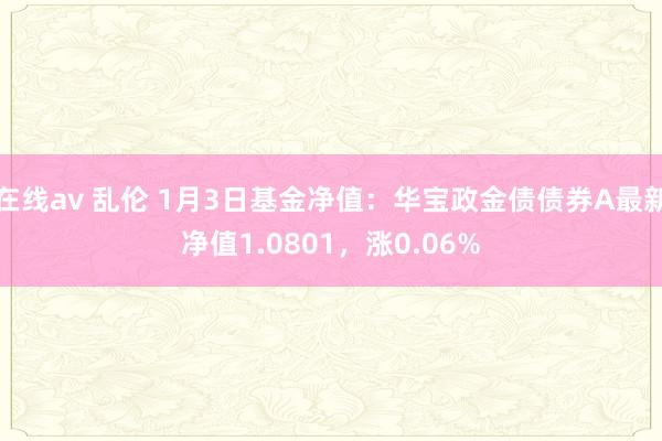 在线av 乱伦 1月3日基金净值：华宝政金债债券A最新净值1.0801，涨0.06%