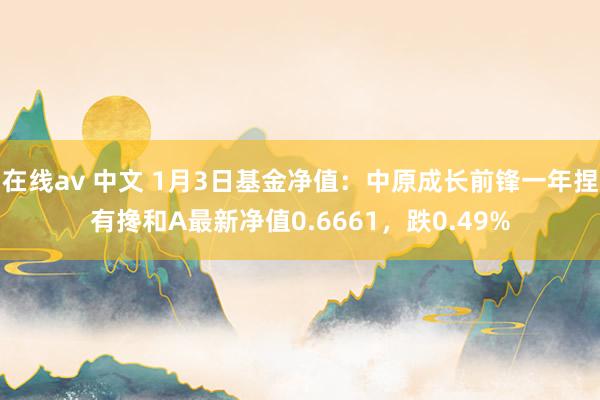 在线av 中文 1月3日基金净值：中原成长前锋一年捏有搀和A最新净值0.6661，跌0.49%