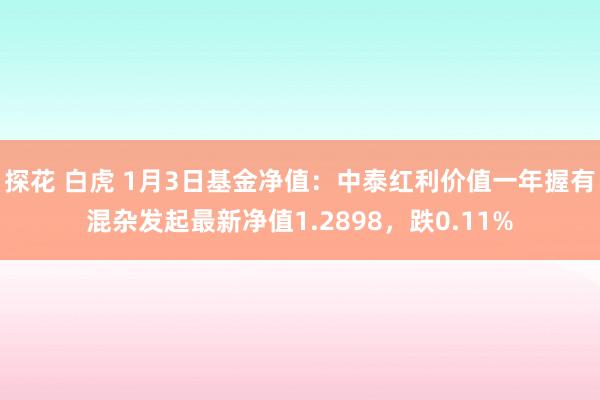 探花 白虎 1月3日基金净值：中泰红利价值一年握有混杂发起最新净值1.2898，跌0.11%