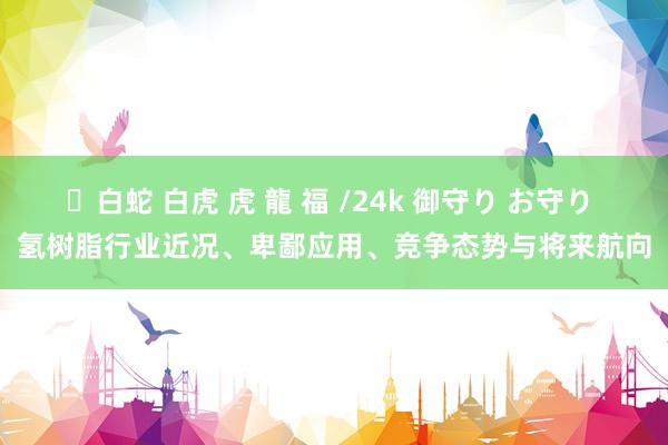✨白蛇 白虎 虎 龍 福 /24k 御守り お守り 氢树脂行业近况、卑鄙应用、竞争态势与将来航向