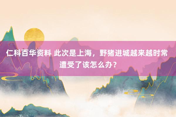 仁科百华资料 此次是上海，野猪进城越来越时常 遭受了该怎么办？