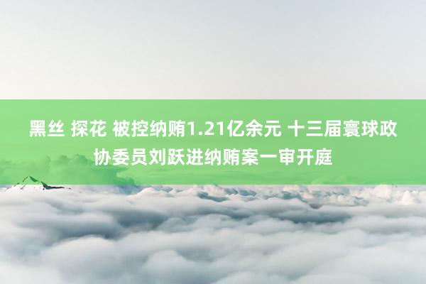黑丝 探花 被控纳贿1.21亿余元 十三届寰球政协委员刘跃进纳贿案一审开庭