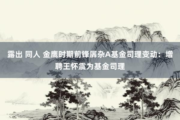 露出 同人 金鹰时期前锋羼杂A基金司理变动：增聘王怀震为基金司理