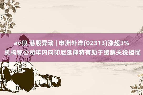 av狼 港股异动 | 申洲外洋(02313)涨超3% 机构称公司年内向印尼延伸将有助于缓解关税担忧