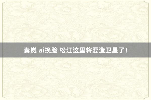 秦岚 ai换脸 松江这里将要造卫星了！