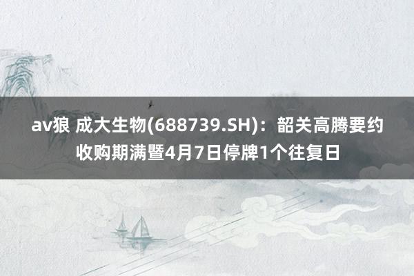 av狼 成大生物(688739.SH)：韶关高腾要约收购期满暨4月7日停牌1个往复日