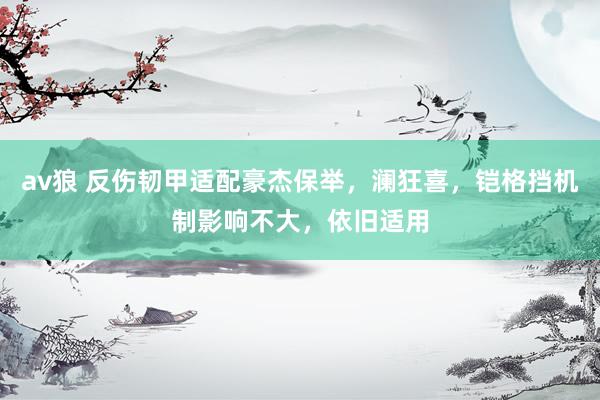 av狼 反伤韧甲适配豪杰保举，澜狂喜，铠格挡机制影响不大，依旧适用