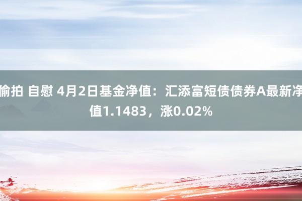 偷拍 自慰 4月2日基金净值：汇添富短债债券A最新净值1.1483，涨0.02%
