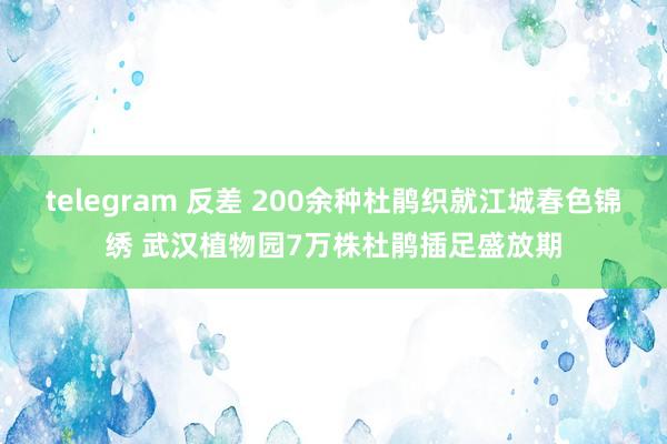 telegram 反差 200余种杜鹃织就江城春色锦绣 武汉植物园7万株杜鹃插足盛放期
